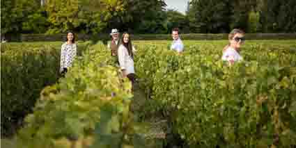 Chateau Talbot Saint Julien Familie Cordier